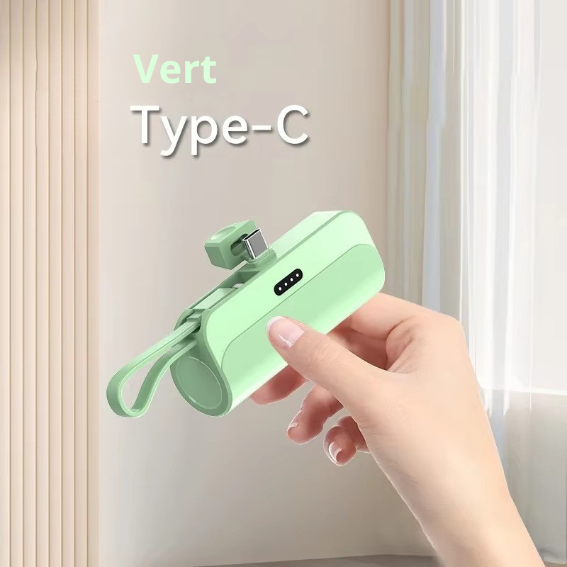 mini batterie externe portable 10000 mah plug and play
